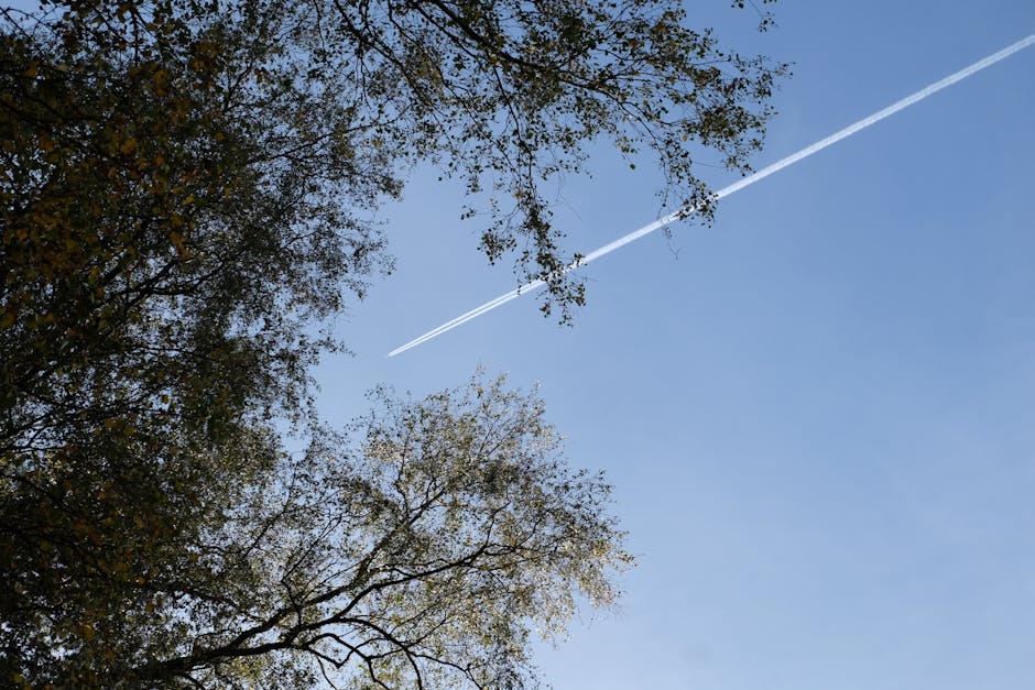 旅遊保險:保障你的每一步冒險